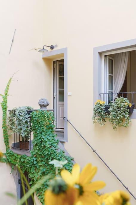 Corte Paolina - Charming Courtyard Inside Lucca Exteriör bild