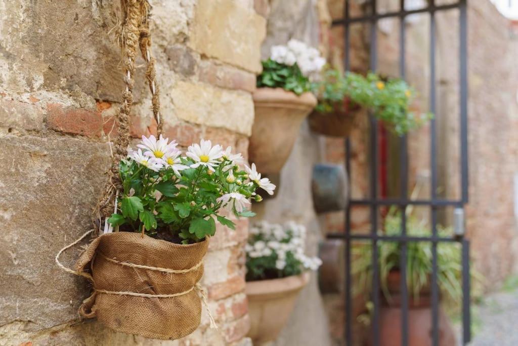 Corte Paolina - Charming Courtyard Inside Lucca Exteriör bild