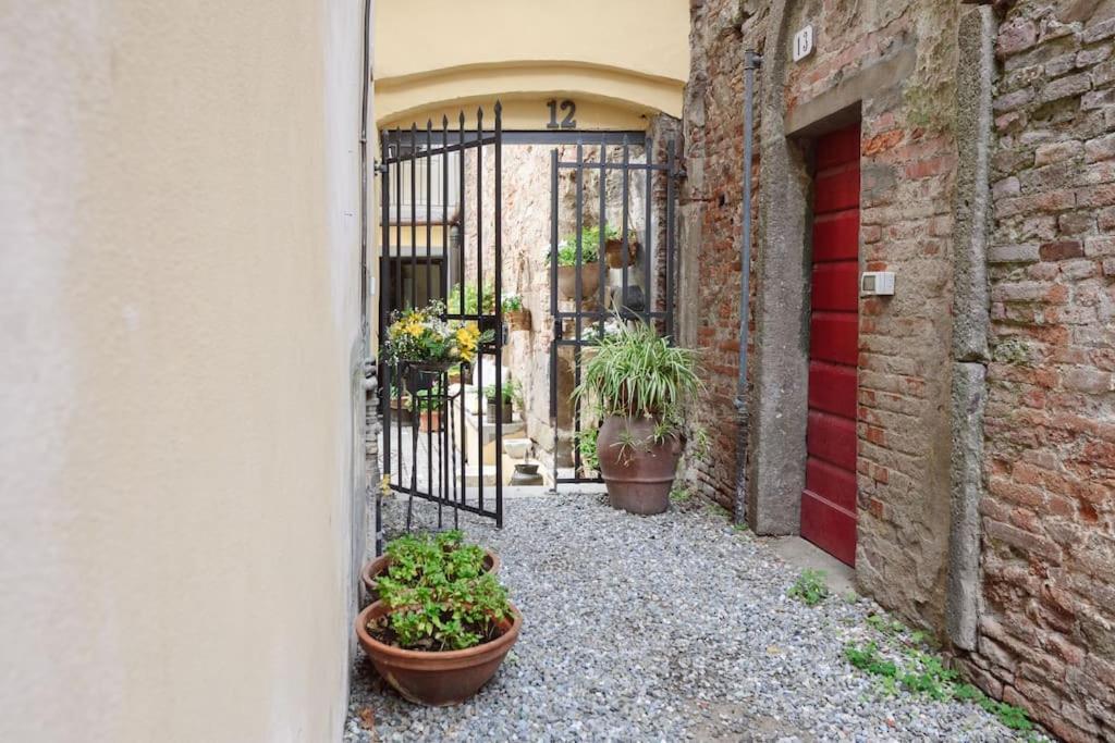 Corte Paolina - Charming Courtyard Inside Lucca Exteriör bild