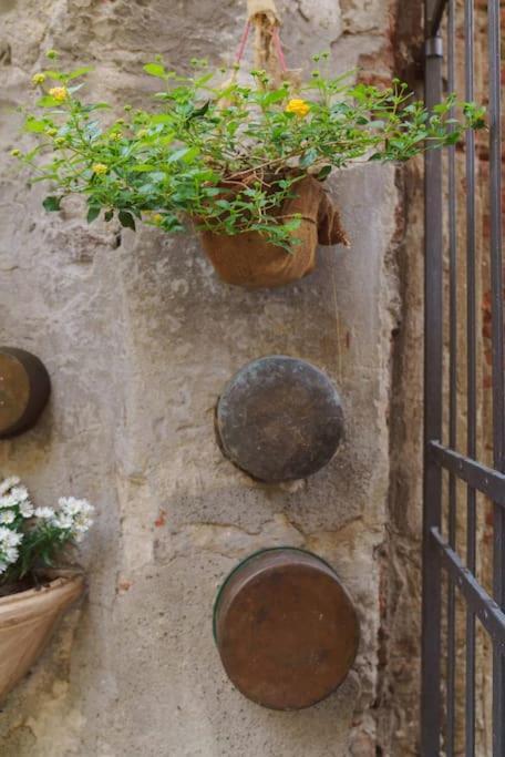 Corte Paolina - Charming Courtyard Inside Lucca Exteriör bild